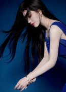 多位省级、市级税务人士交换得知